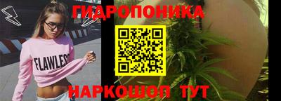 Альфа ПВП Котовск