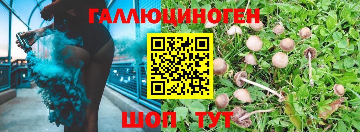 Псилоцибиновые грибы GOLDEN TEACHER Нягань