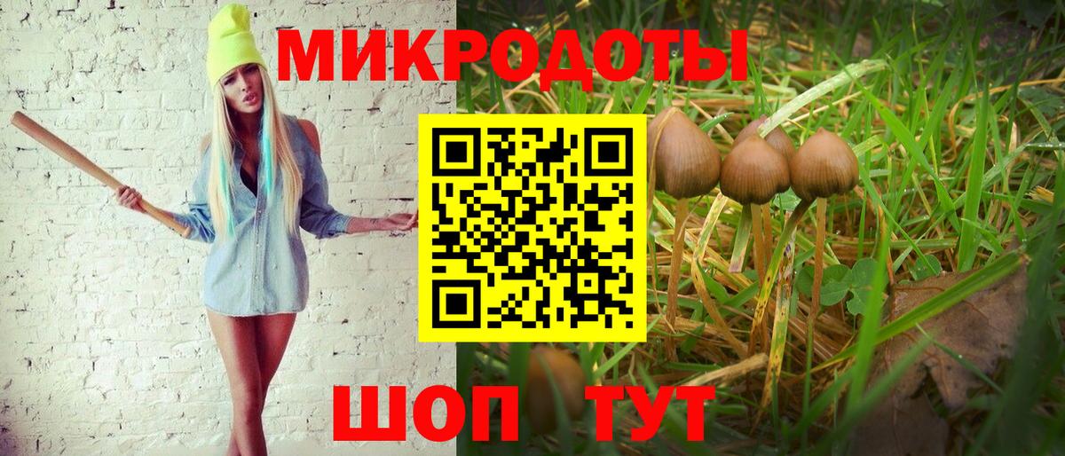 Нягань  Псилоцибиновые грибы Cubensis  даркнет сайт  Псилоцибиновые грибы Psilocybine cubensis  Вход с VPN 